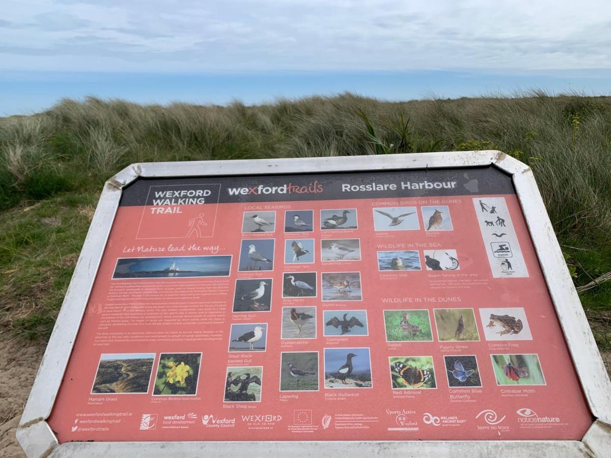 St Martin'S, Rosslare Harbour Guest Accommodation Dış mekan fotoğraf
